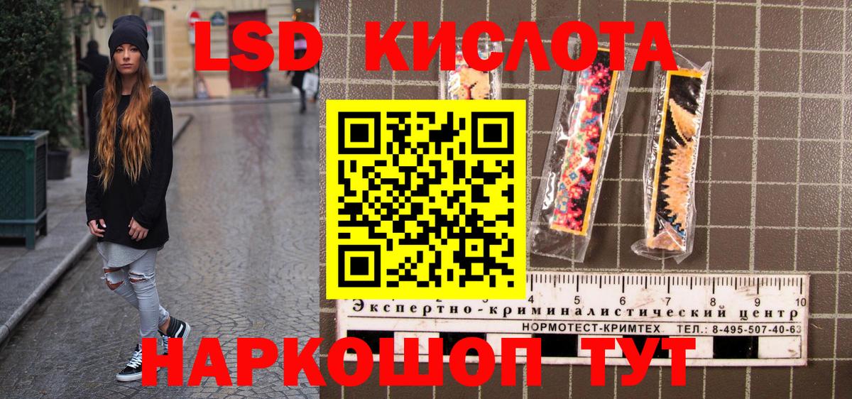 МЕФ Солнечногорск