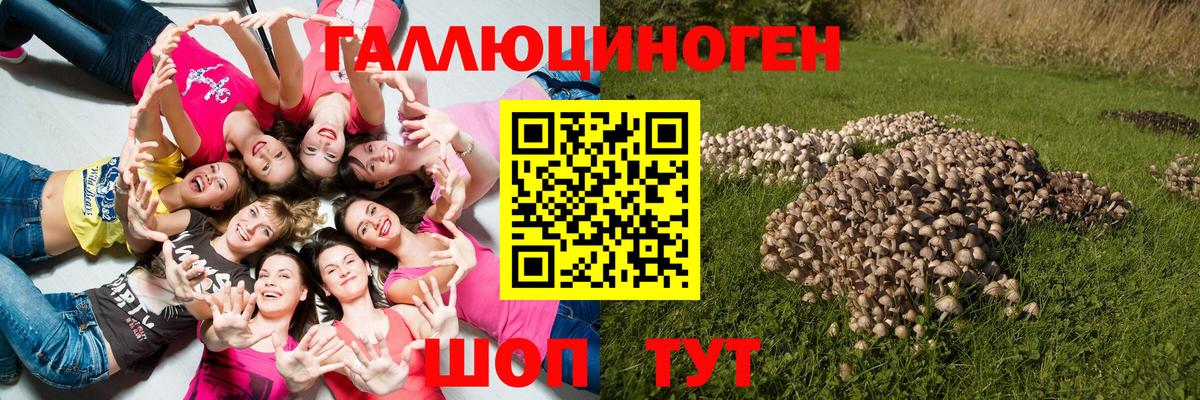 цена наркотик  Псилоцибиновые грибы Psilocybe  Вход с VPN  Солнечногорск 